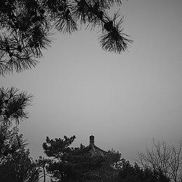 《DOTA2》秘密战队公布新阵容 MidOne再次离队